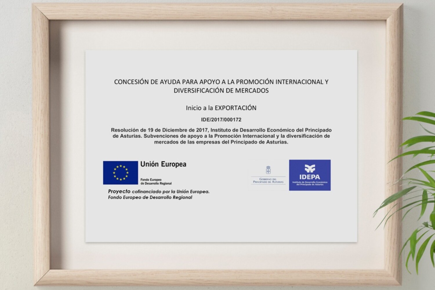 Oxiplant Internationalisierung mit dem Idepa