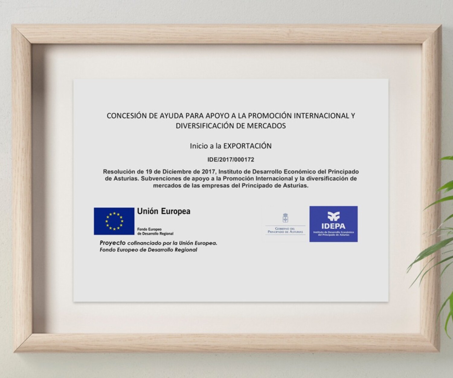 Oxiplant Internacionalización con el Idepa